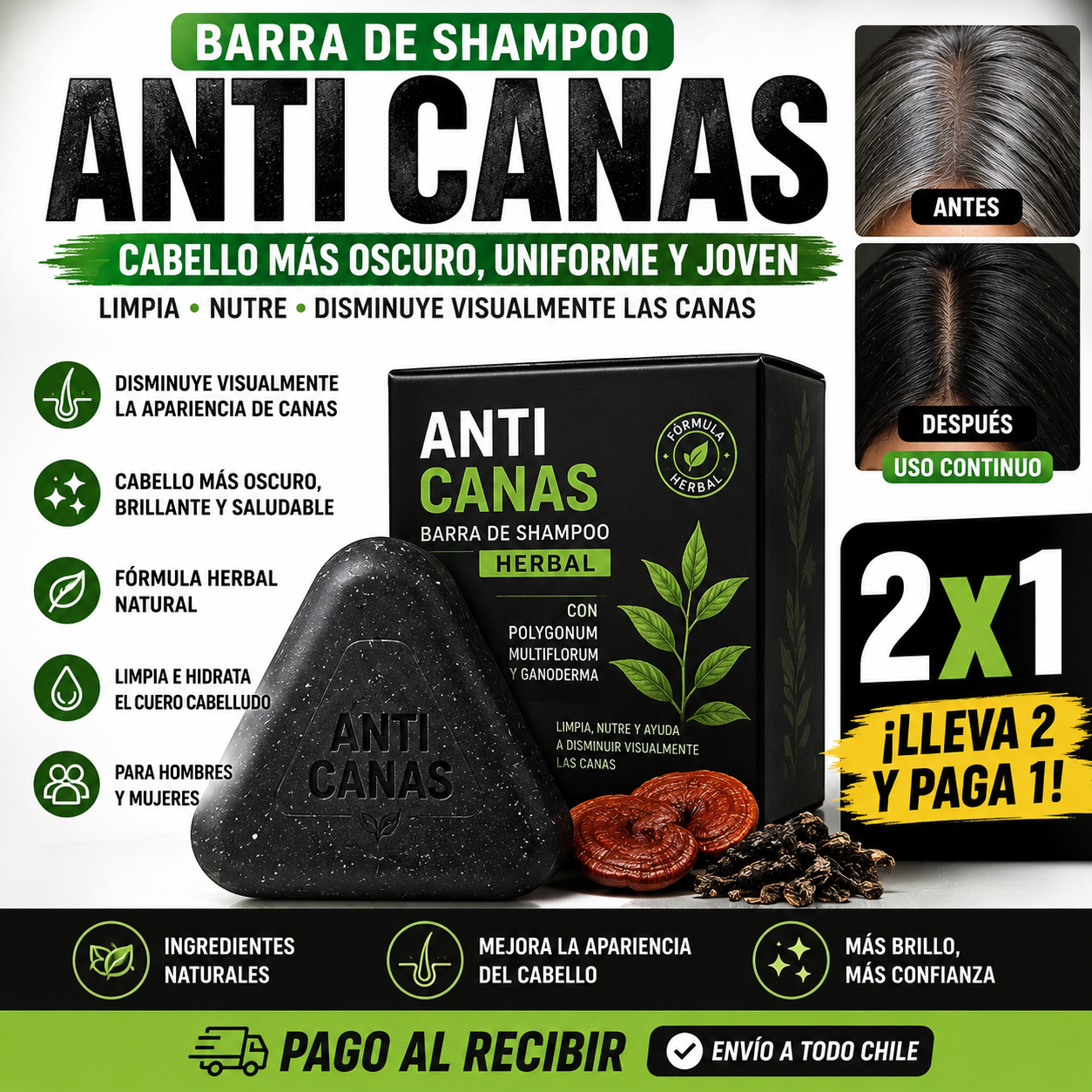 Barra de Shampoo Anti Canas Herbal 2x1™ – Cabello Más Oscuro y Uniforme