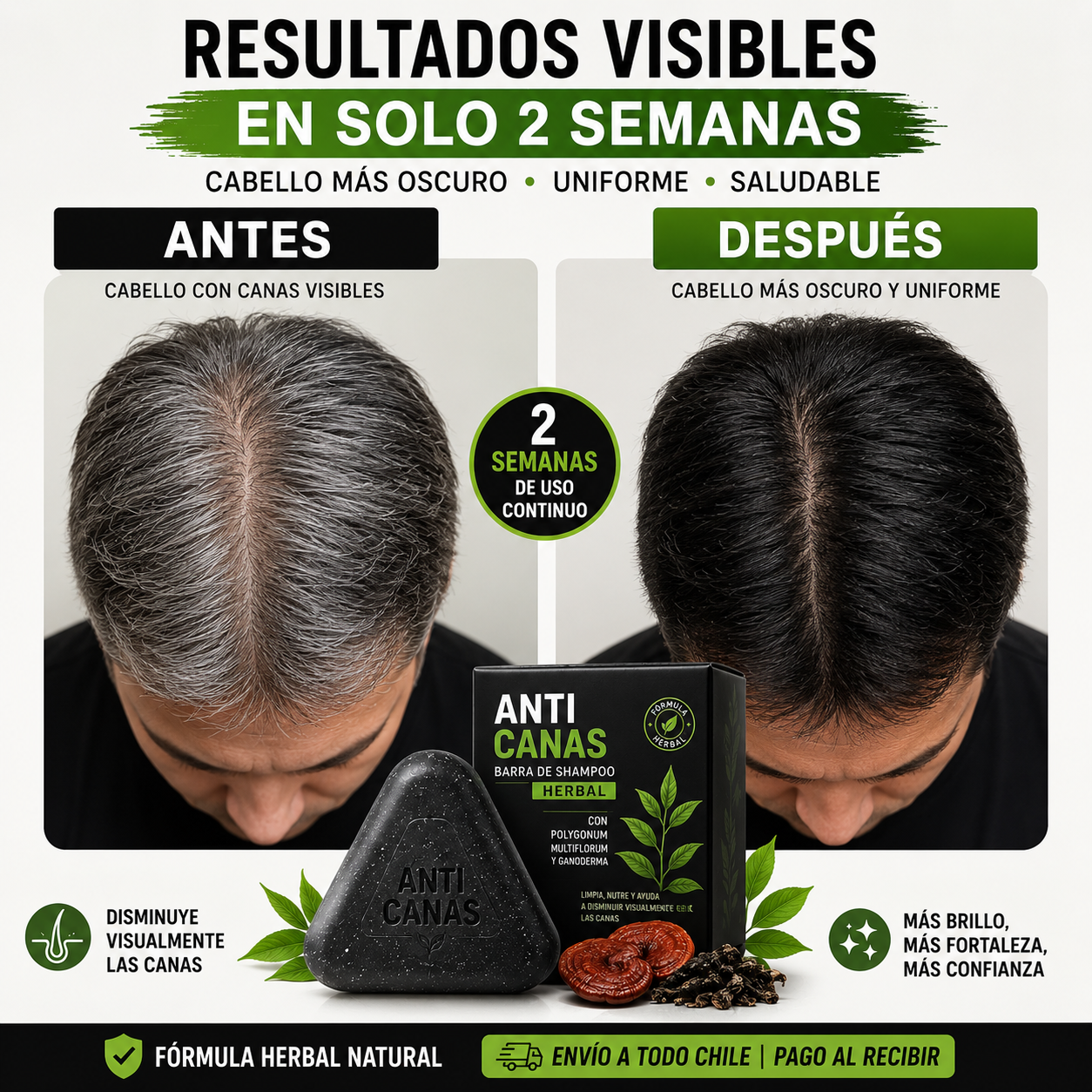 Barra de Shampoo Anti Canas Herbal 2x1™ – Cabello Más Oscuro y Uniforme