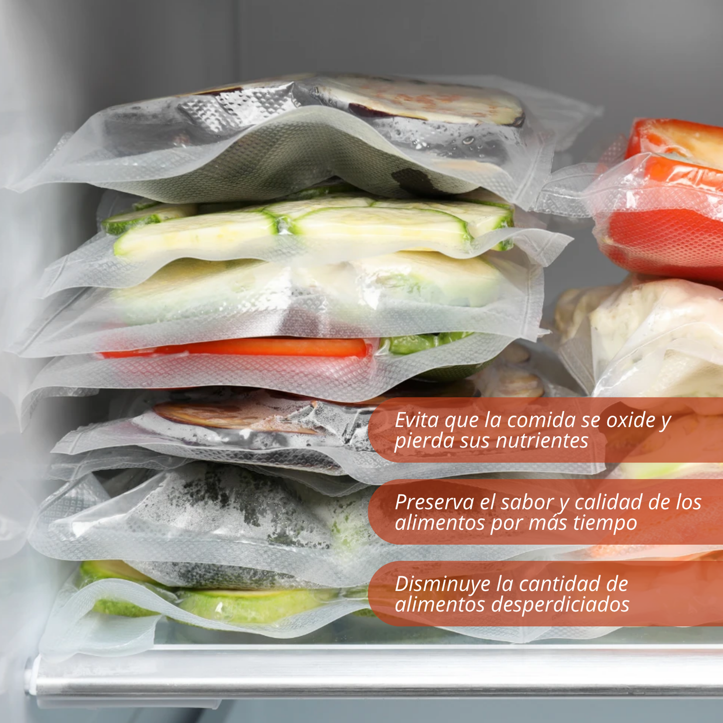 Selladora al vacío para alimentos Sealer Z + 10 Bolsas - Mantiene tus comidas por más tiempo